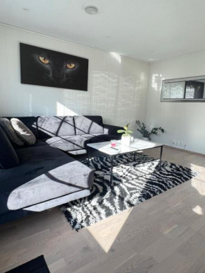 Three bedroom villa 15mins from Oslo Airport